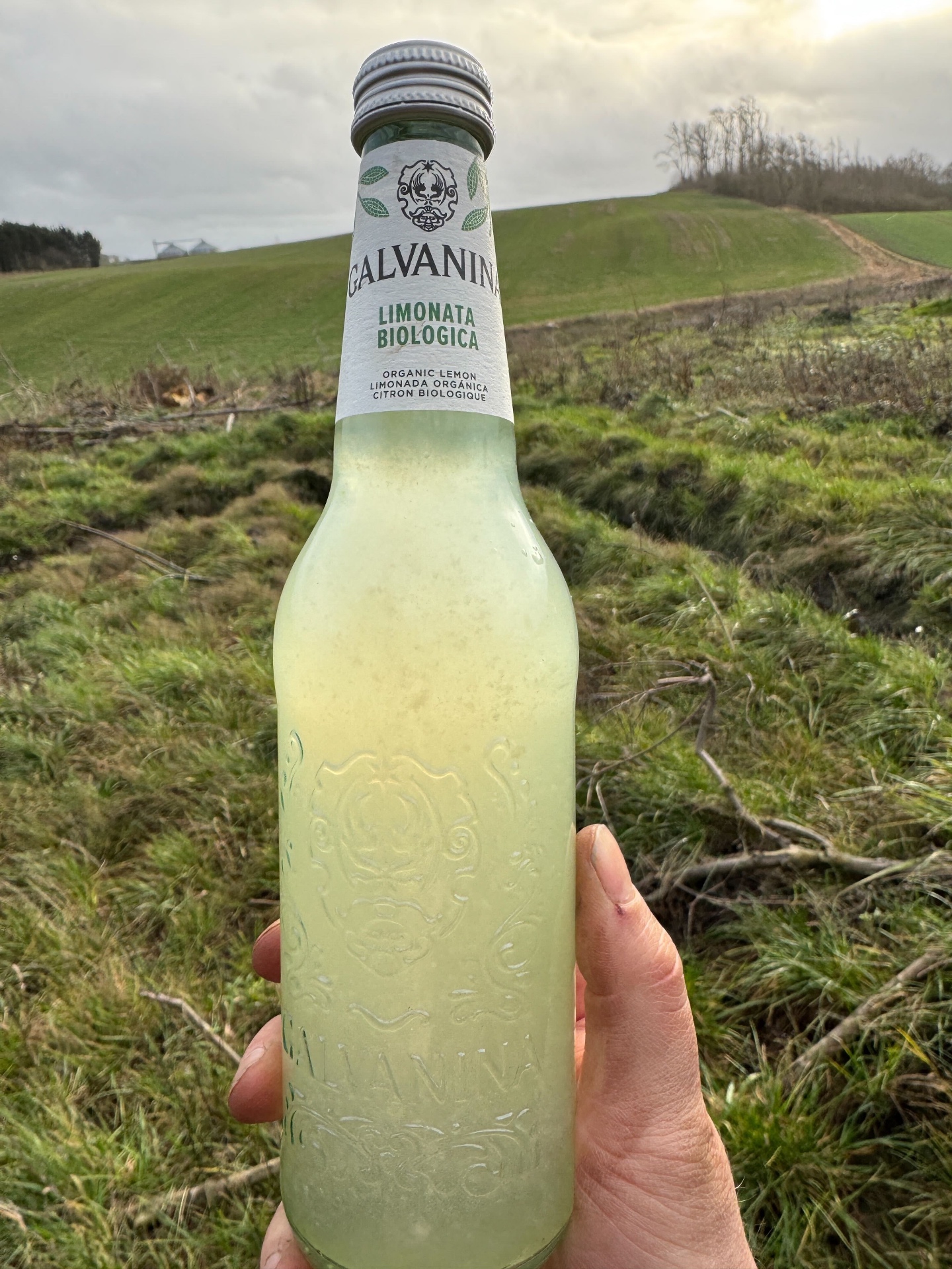 Galvanina Limonata Biologica Limonata Biologica